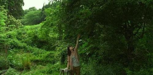 小树林aV视频,揭秘隐秘角落的激情故事