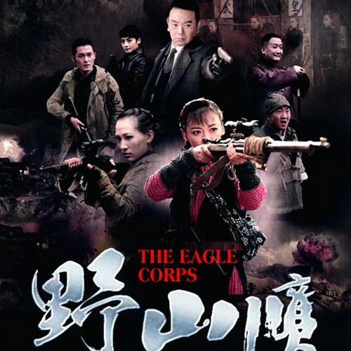 野山鹰在线播放迅雷下载,在线播放与迅雷下载，探索自然奇观之旅