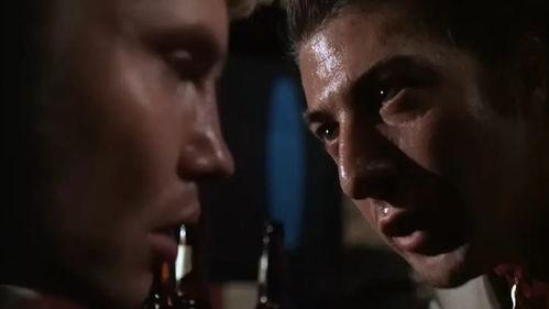 午夜视频同性,同性情感世界的细腻描绘