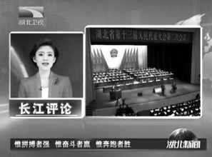 湖北电视新闻爆料,揭秘当地民生热点事件