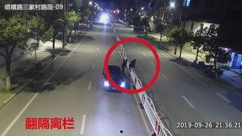 高清无码高速下载 下载,技术革新与便捷体验