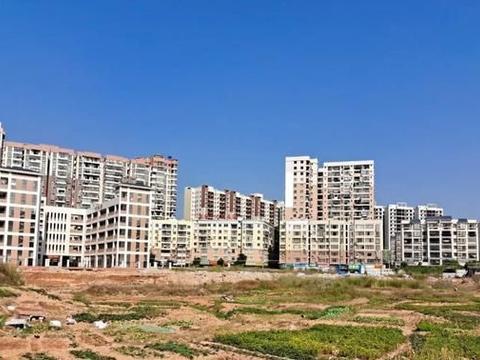 梧州爆料新闻最新消息,突发事件引发社会关注