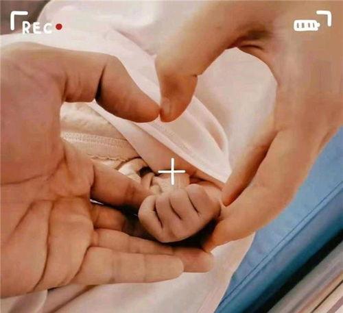 惠若琪老公干啥,揭秘体育界精英背后的神秘力量