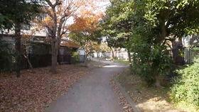 日本杉浦朋美,日本设计界的璀璨星辰