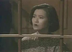 明星蓝瑛洁,璀璨星途，闪耀娱乐圈