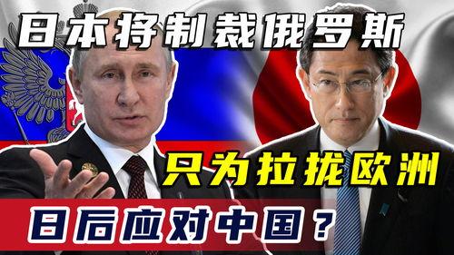 日本 制裁俄罗斯,应对国际局势的举措解析”
