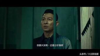 他是龙电影完在线观看,奇幻之旅，在线观影新体验